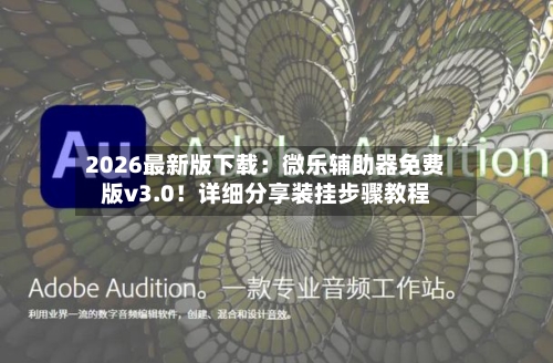 2026最新版下载：微乐辅助器免费版v3.0！详细分享装挂步骤教程-第2张图片