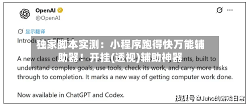 独家脚本实测：小程序跑得快万能辅助器！开挂(透视)辅助神器-第1张图片