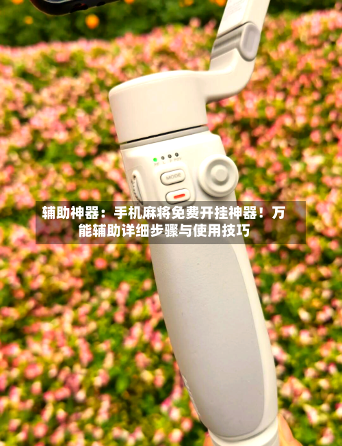 辅助神器：手机麻将免费开挂神器！万能辅助详细步骤与使用技巧-第2张图片