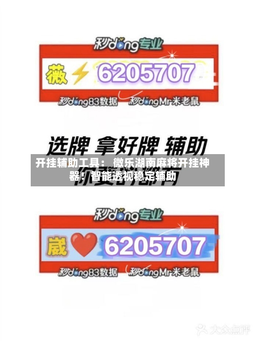 开挂辅助工具： 微乐湖南麻将开挂神器！智能透视稳定辅助-第2张图片