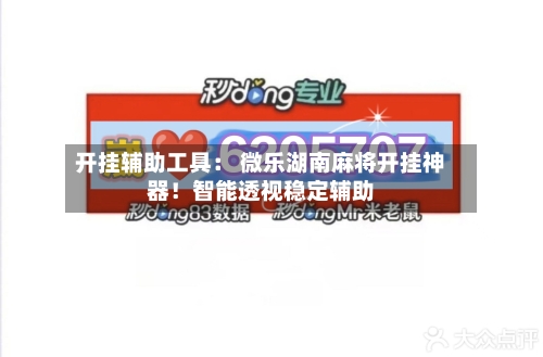 开挂辅助工具： 微乐湖南麻将开挂神器！智能透视稳定辅助-第1张图片