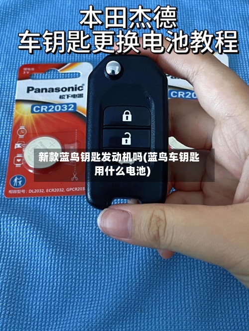 新款蓝鸟钥匙发动机吗(蓝鸟车钥匙用什么电池)-第3张图片